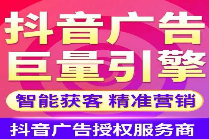 案例分析：高效信息流广告投放策略